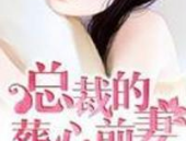 总裁的葬心前妻,一段爱恨交织的复仇传奇