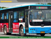长沙公交车网,穿梭城市脉络的绿色动脉