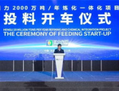腾龙芳烃招聘,打造世界级石化基地，诚邀精英共筑辉煌
