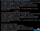 全新虚拟专用任事器VPS：矫健性与和平性的完满联结阻挠错过-美国房价涨势如虹：东北区域领衔创史乘新高
