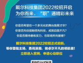 戴尔中国招聘,携手创新，共筑数字化未来