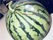 河北吃瓜网红是谁,揭秘网络红人的崛起之路