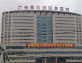 武汉广州军区总医院,综合实力雄厚，服务全国的大型公立三甲医院