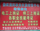 电工招聘,技能需求与职业发展机遇并重